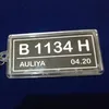 alievprint