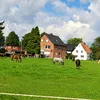 merwanyusf