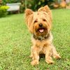 roki_tips