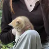qwqw33o