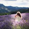 lavender121200