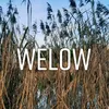 welooow3