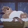 coddingtonbear
