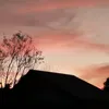 linh.nguyen.linh4