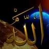 user4588135132984