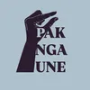 pakngaune.al