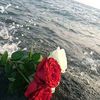 user5345420120662