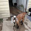 bonniefreeman177