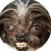 scuttlesboo
