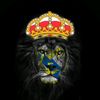 suhail0suha