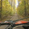 backroadbearcountry