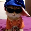xyz_pann0