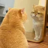 blck._.cacao