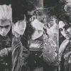 theataraxyproject