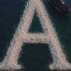 ali_14483
