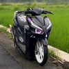 jember._.pride