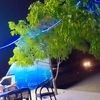 hafsoali93