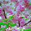 dysnudc7a9ns