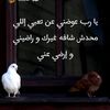 hamasat161990