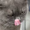 nunu0210_