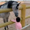 asmaa28611