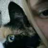 qwix_kill