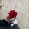 zh__bn