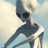 compulsivealien