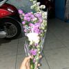 faraaaaaulia