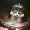 miss_zolin005