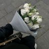 farah_mohsen00