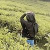 dhista02010