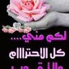 user7725044967717