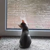jana_mt