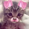 swkittmm