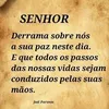 sandrarosasanoliveira