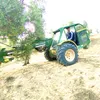 beticoo98