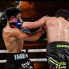 mma_boxing_muaythai