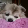x_moko5