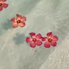 lulul444