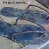 user1881425408455