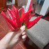 user57559179677495