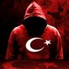 34reis37