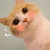 meo_burh