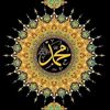 jamil26662