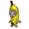 cryingbananacat