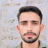 baryar071