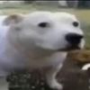 samantha1117240601