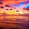 life_in_the_sun1