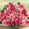 farah.amal8